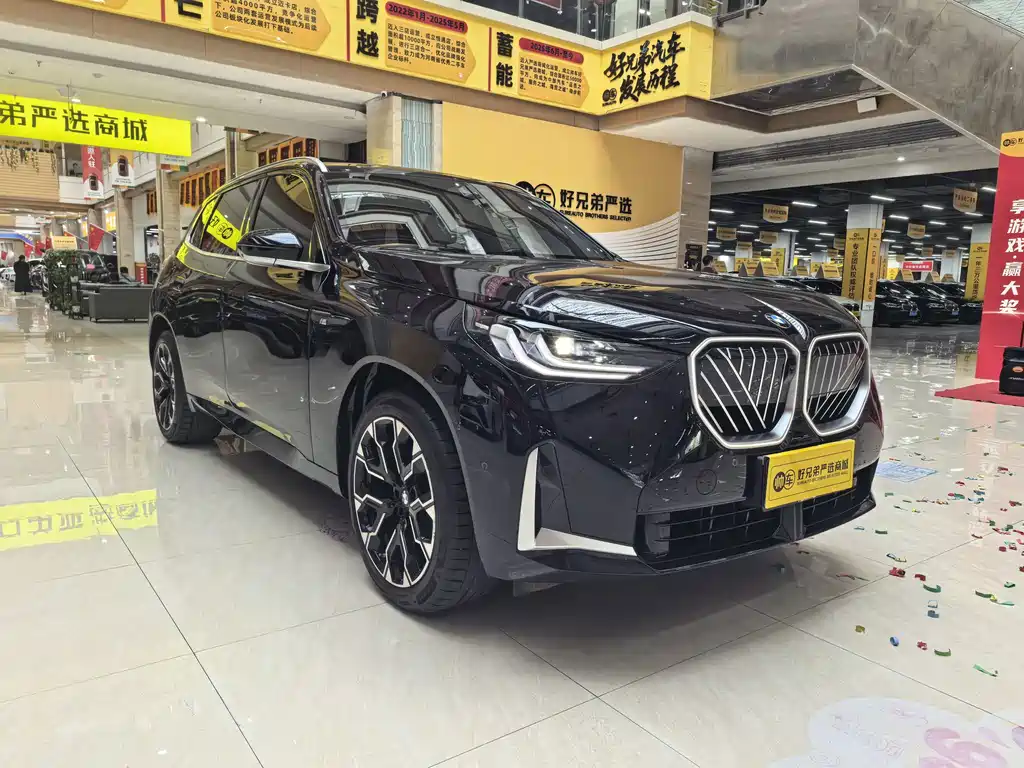 BMW X3 — миниатюра 3