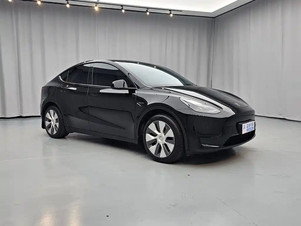 Tesla Model Y — миниатюра 3