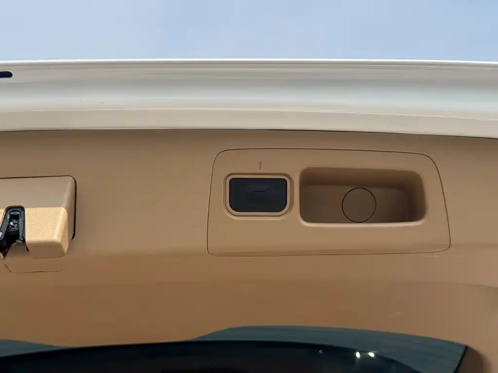 Buick GL8 — миниатюра 10