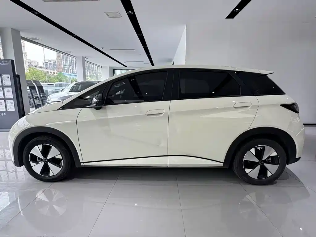 BYD Dolphin — миниатюра 17