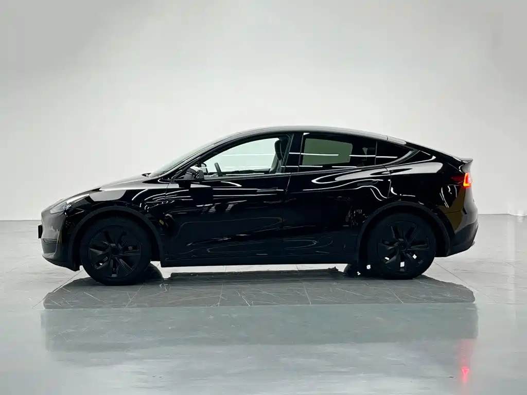 Tesla Model Y — миниатюра 3