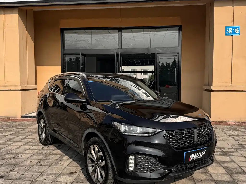 WEI PAI WEI BRAND VV6