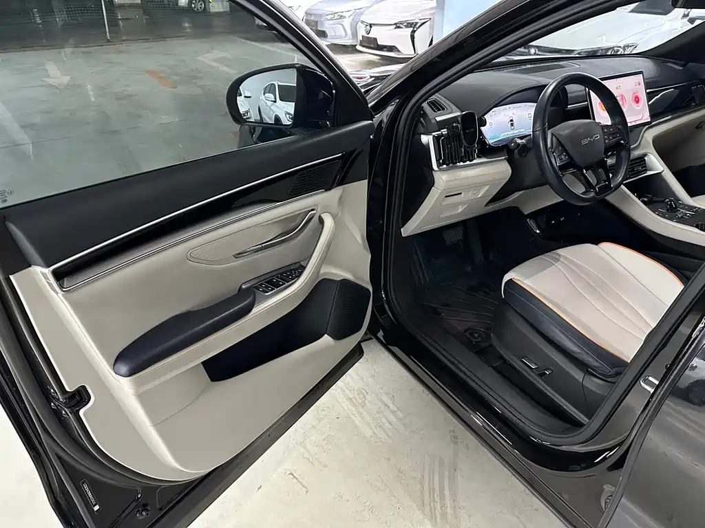 BYD SONGJIANG NEW ENERGY