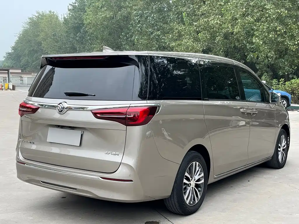Buick GL8 — миниатюра 5