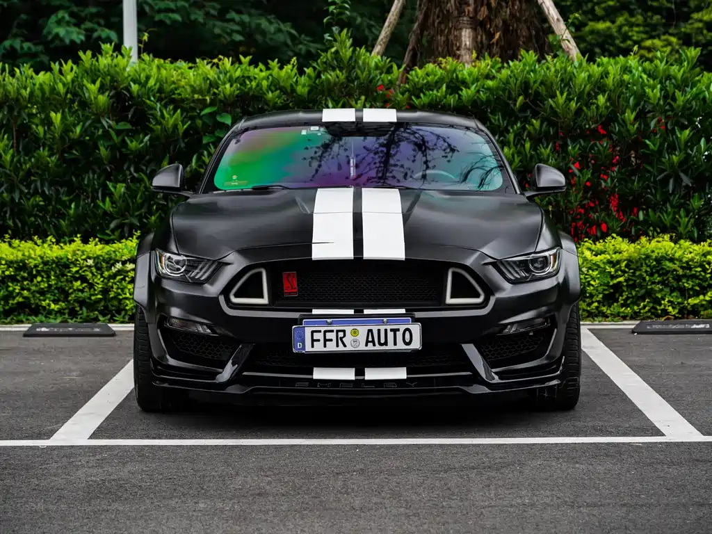 Ford Mustang 2.3T Performance Edition, фото 8