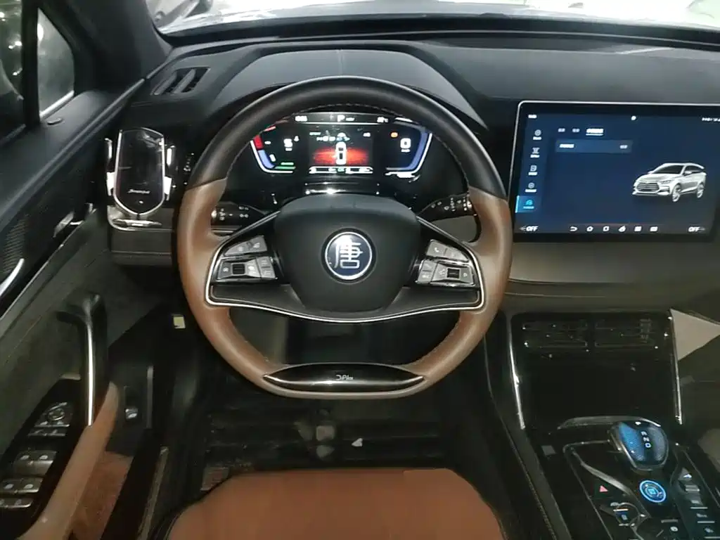 BYD Tang New Energy — миниатюра 11