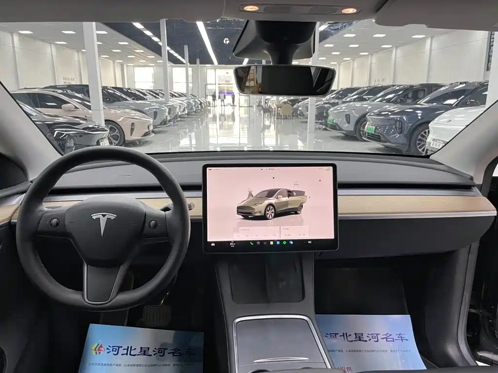 Tesla Model Y — миниатюра 12
