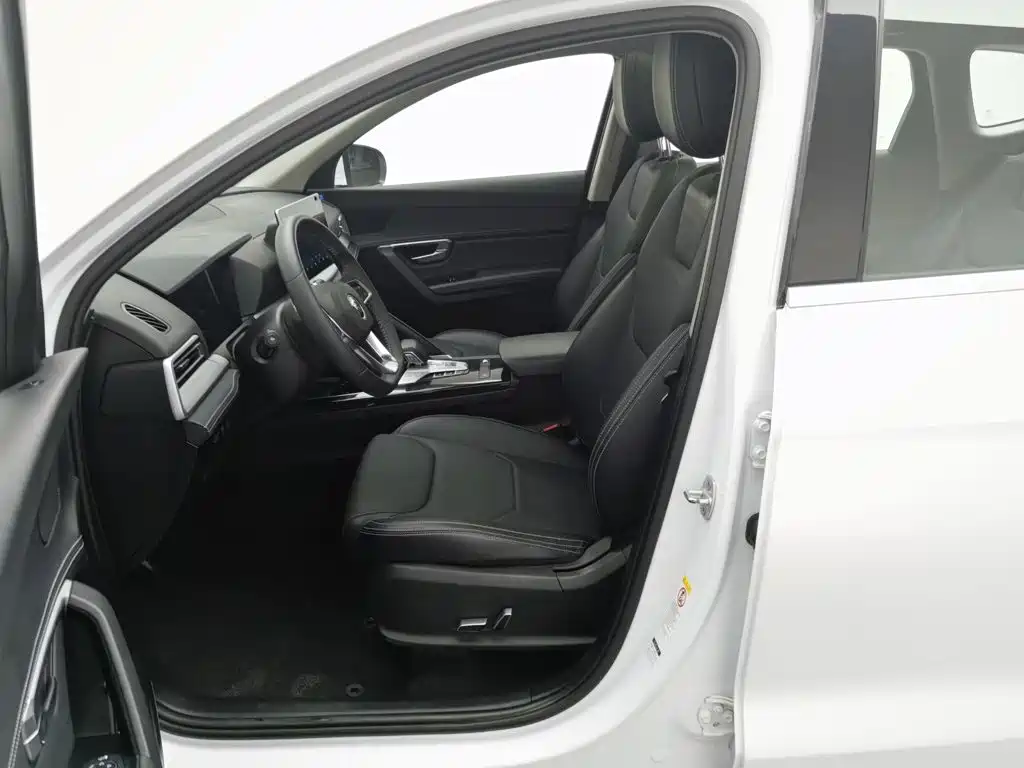 BYD Pro — миниатюра 10