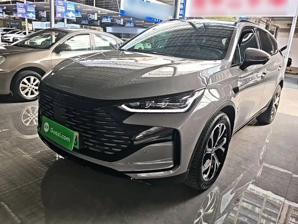 BYD Tang New Energy — миниатюра 2