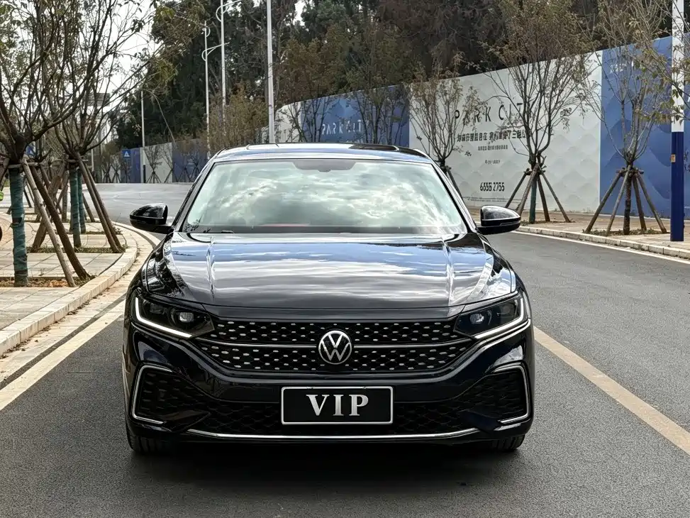 Volkswagen Passat — миниатюра 2