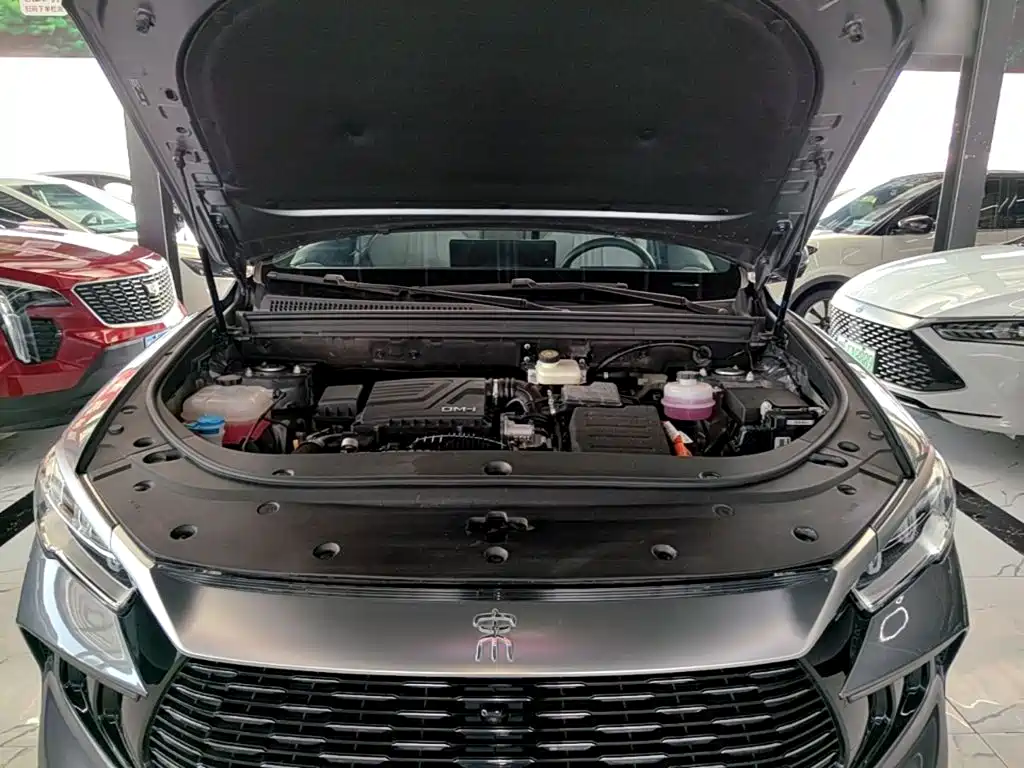 BYD Pro New Energy — миниатюра 20