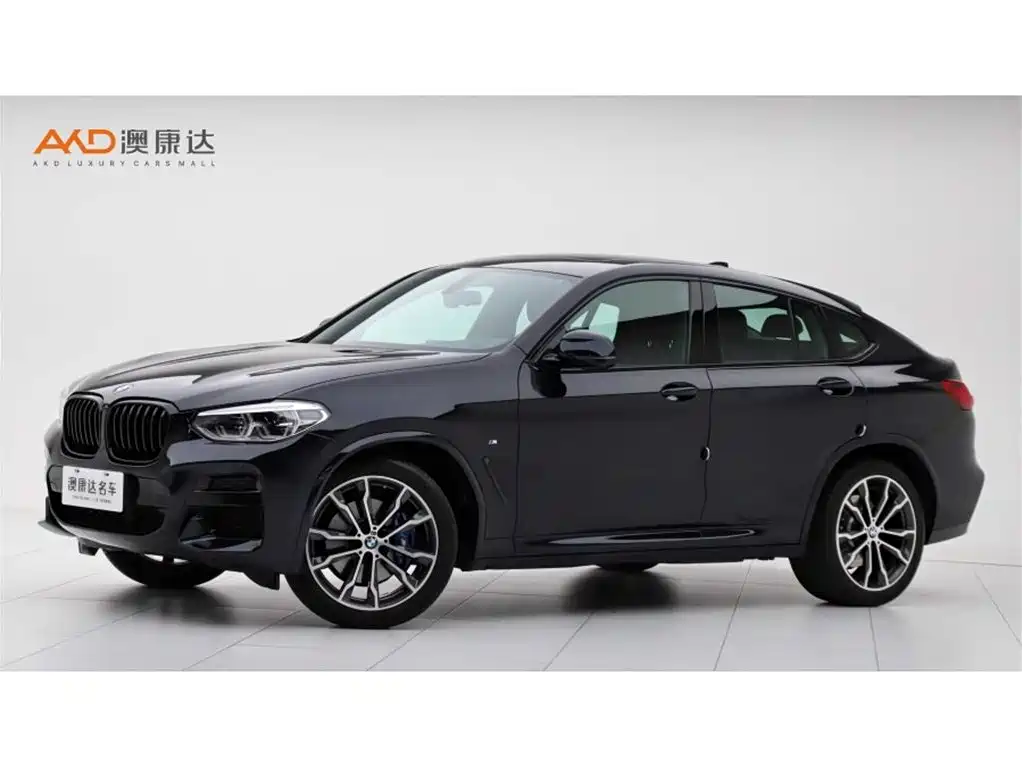 BMW X4 2021 xDrive 30i M Sport