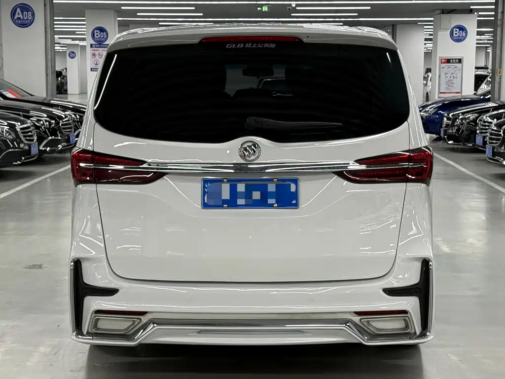 Buick GL8 — миниатюра 15