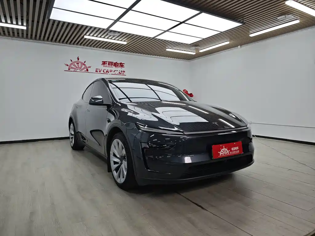 Tesla Model Y — миниатюра 2