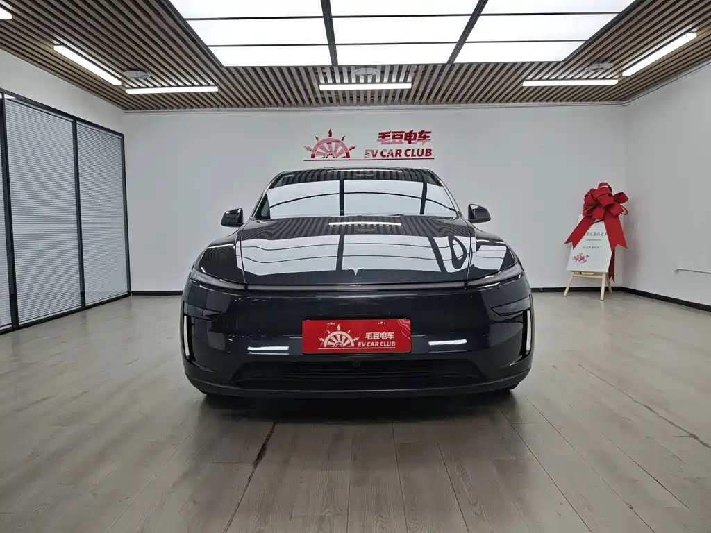 Tesla Model Y — миниатюра 3