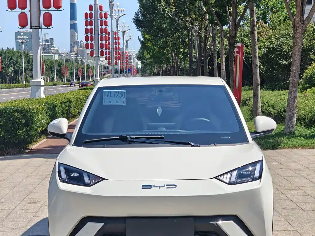 BYD Dolphin — миниатюра 2