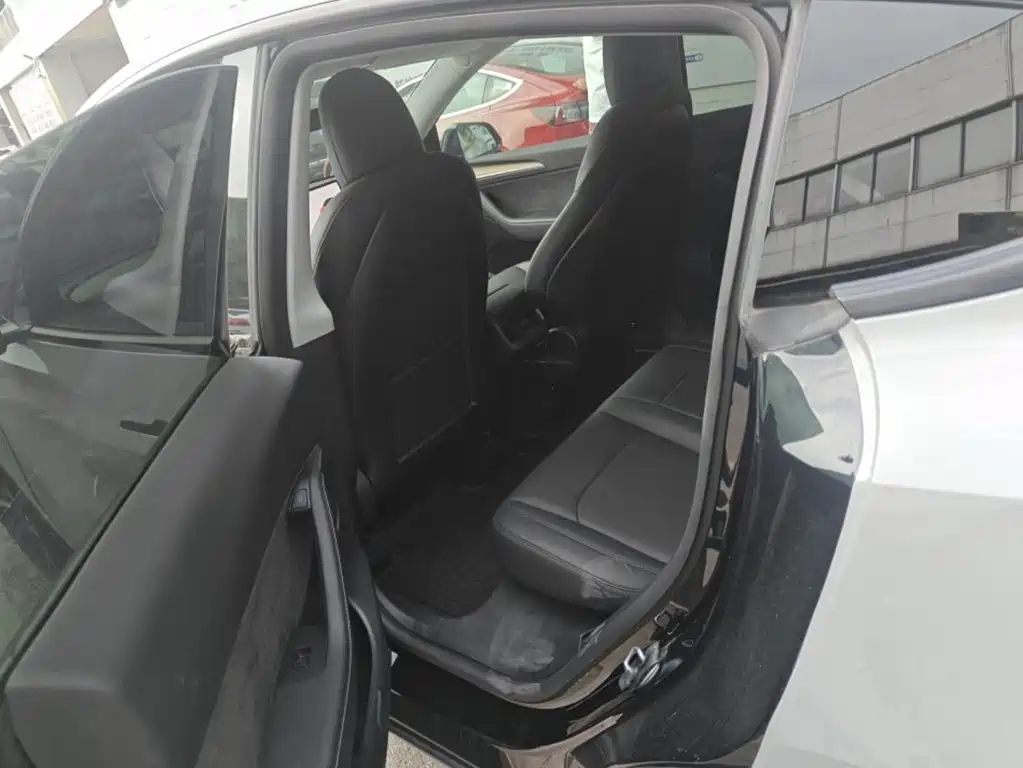 Tesla Model Y — миниатюра 6