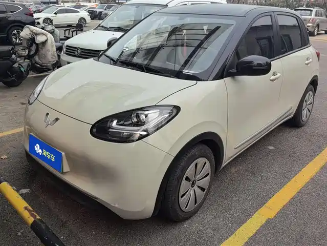 WULING WULING BINGGUO 2023