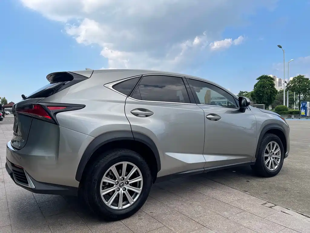 Lexus NX — миниатюра 11