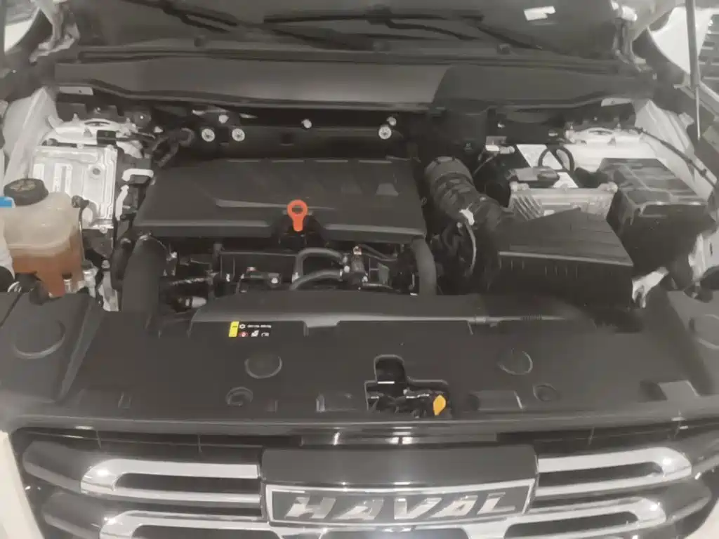 Haval Big Dog — миниатюра 20