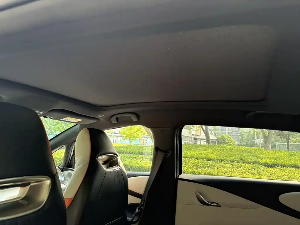 BYD Dolphin 2021 405km Freedom