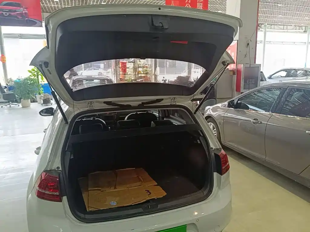 Volkswagen Golf — миниатюра 19