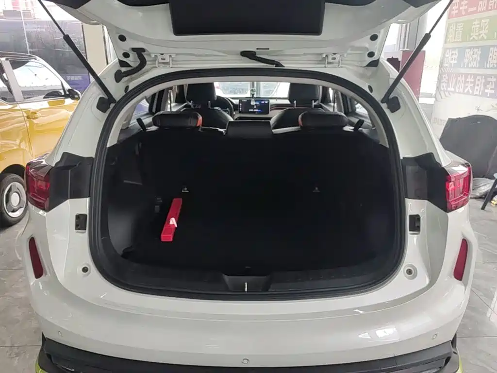 Haval Chitu — миниатюра 19