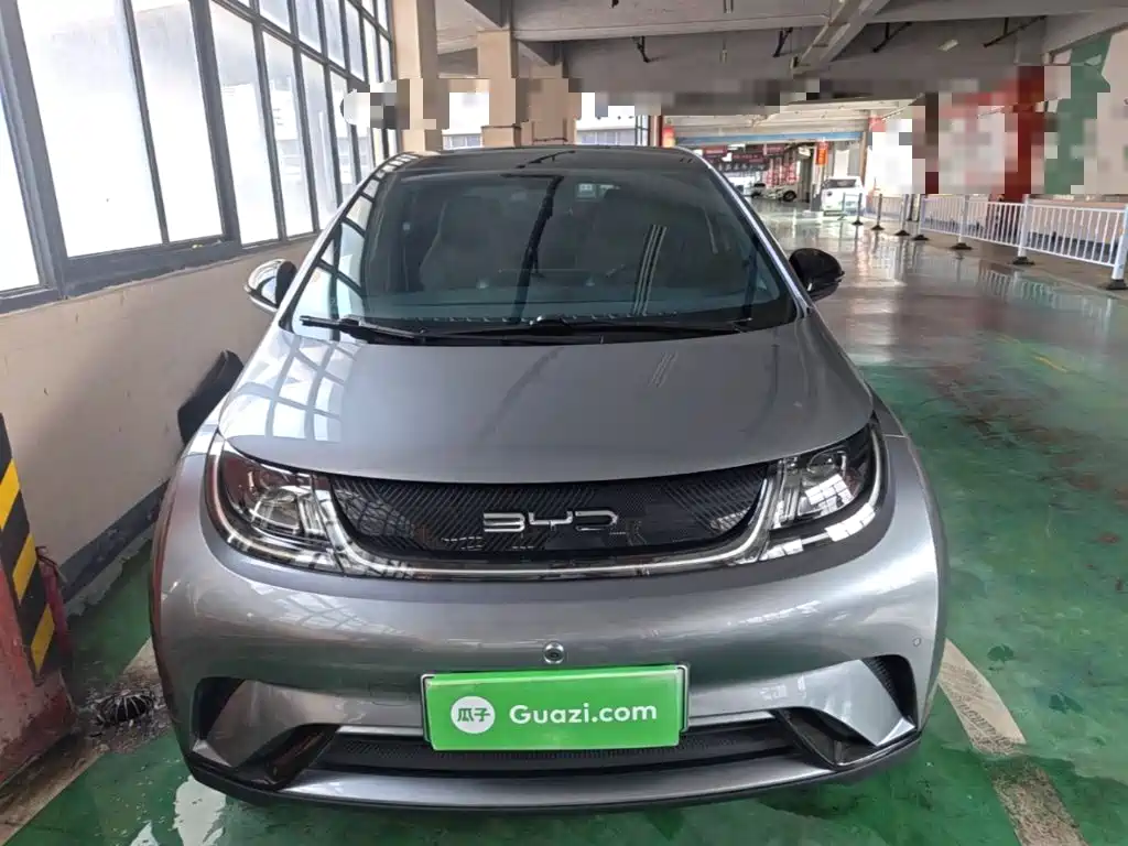BYD Dolphin — миниатюра 3