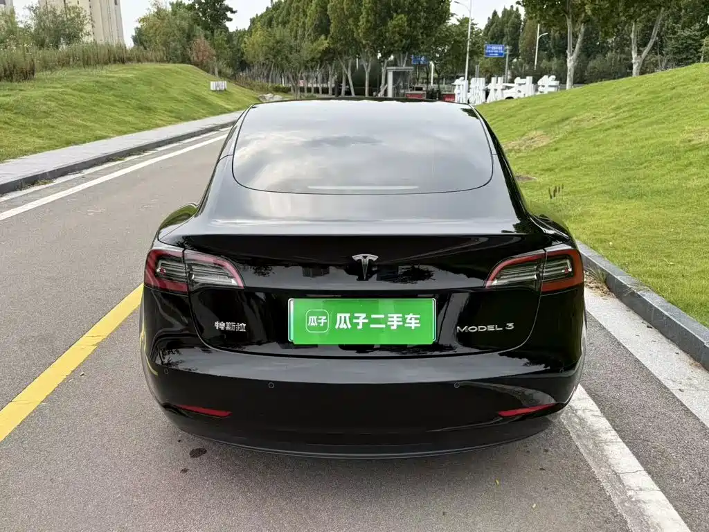 Tesla Model 3 — миниатюра 6