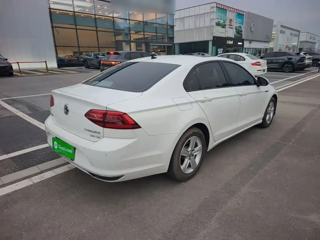 Volkswagen Lamando — миниатюра 7