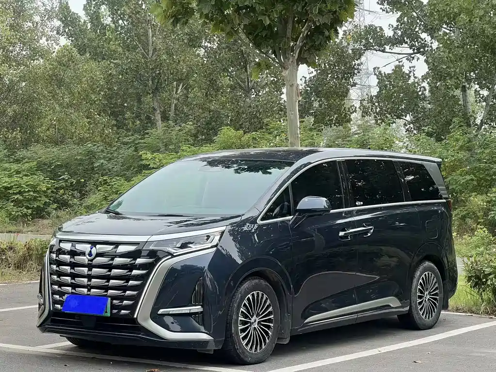 Denza Denza D9