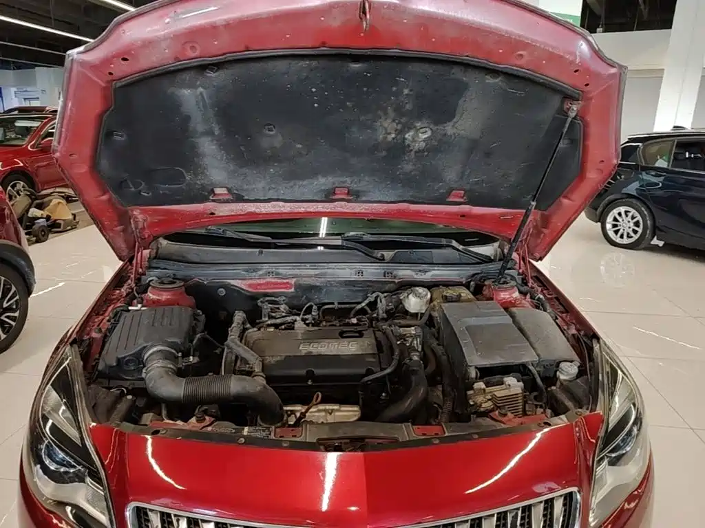 Buick Regal — миниатюра 20