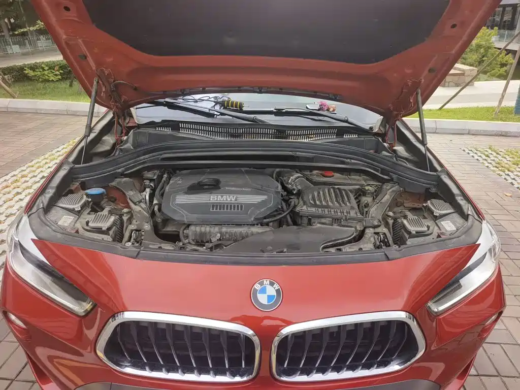 BMW X2 (Import) — миниатюра 21