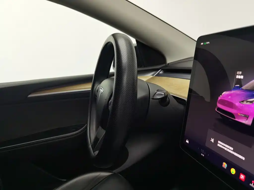 Tesla Model Y — миниатюра 22