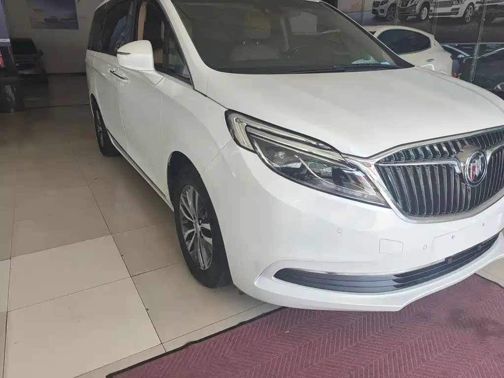 Buick GL8 — миниатюра 3