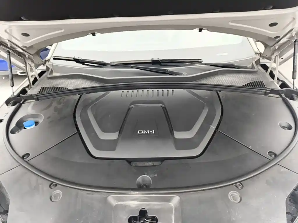 BYD PLUS New Energy — миниатюра 20
