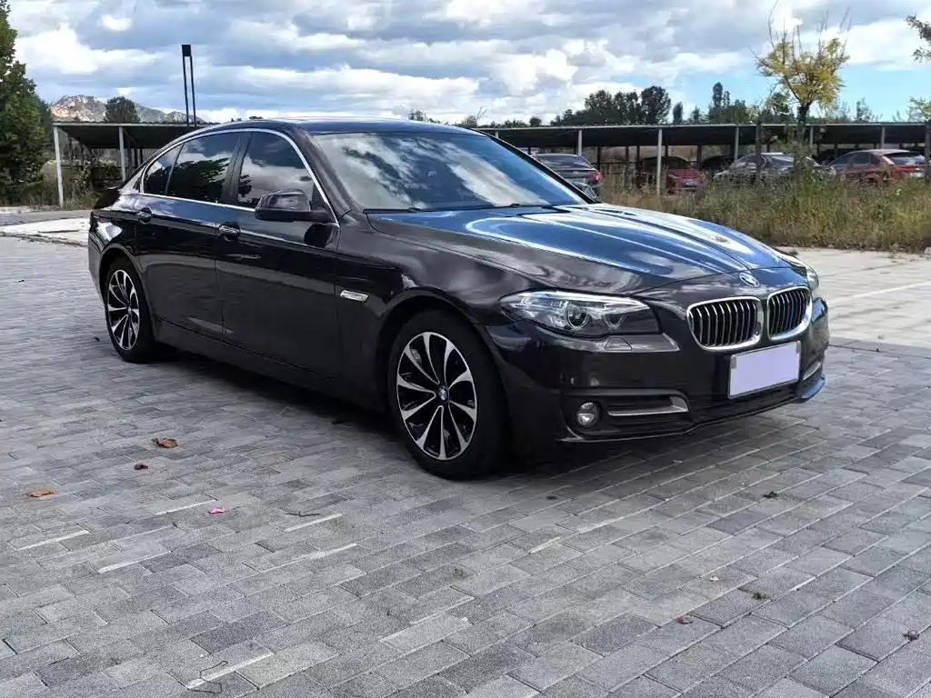 BMW 5 Series — миниатюра 13