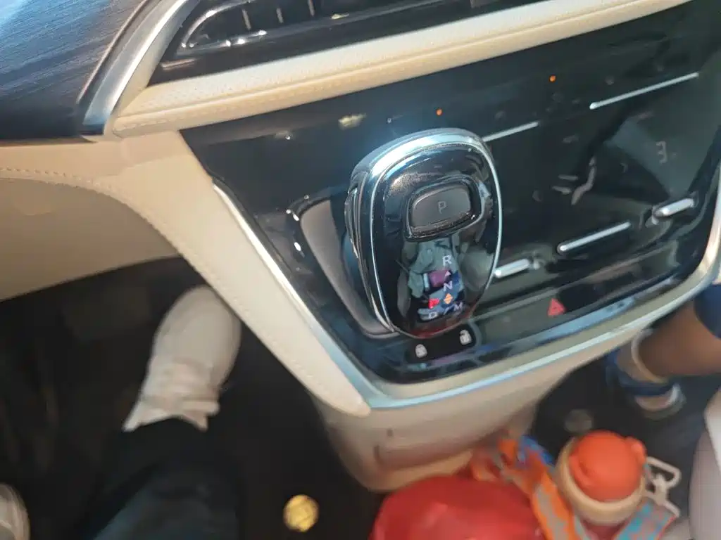 Buick GL8 — миниатюра 10