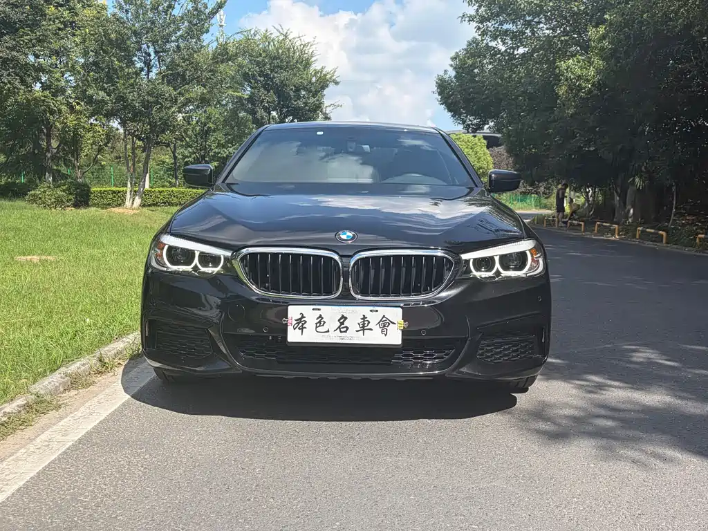 BMW 5 Series — миниатюра 2