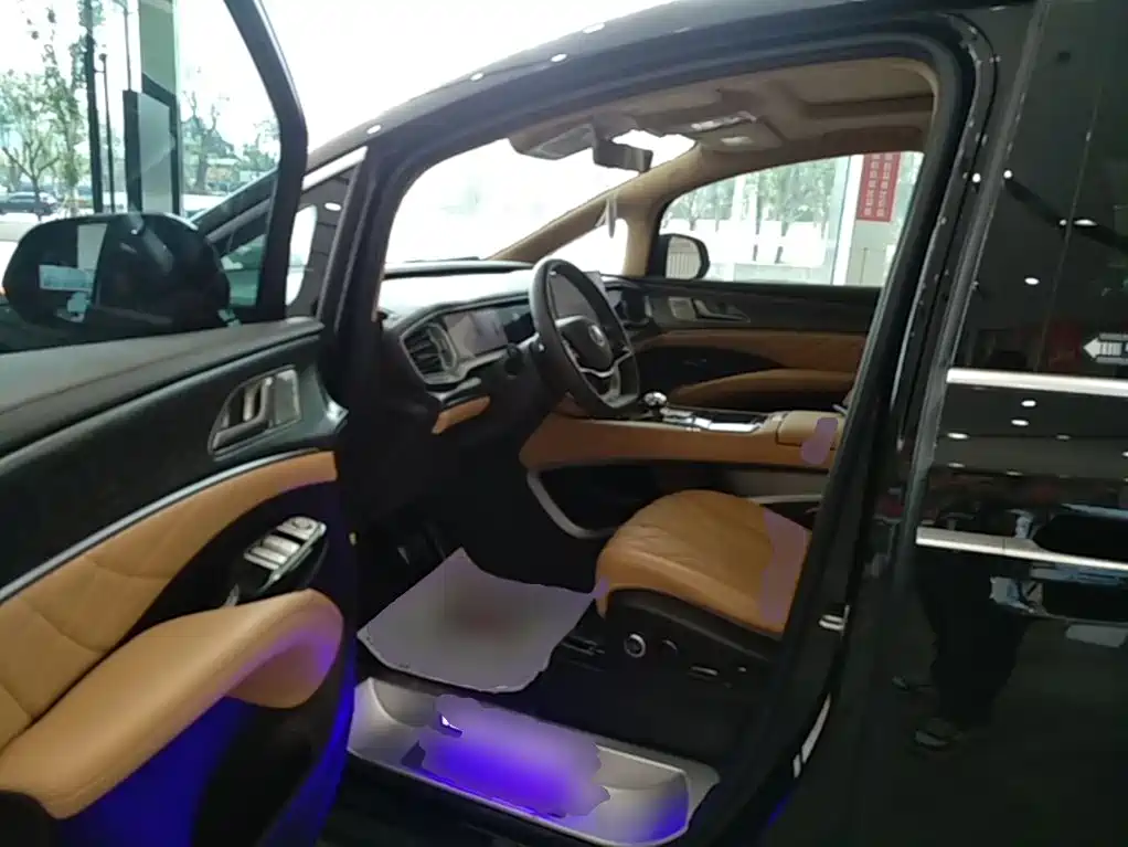 Denza Denza D9 — миниатюра 15