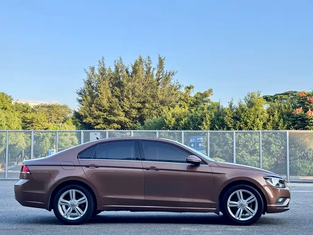 Volkswagen Lamando — миниатюра 4