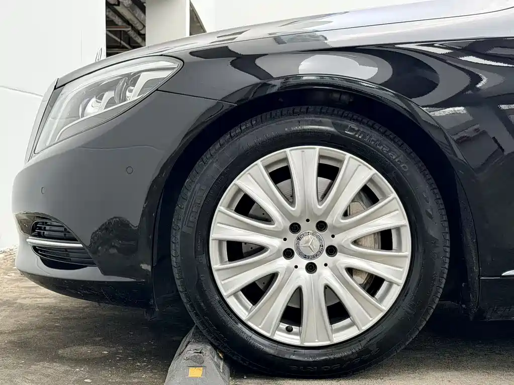 Mercedes-Benz S-Class S 320 L Luxury Type, фото 10
