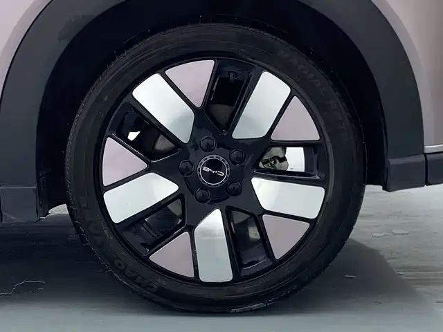 BYD Dolphin — миниатюра 19