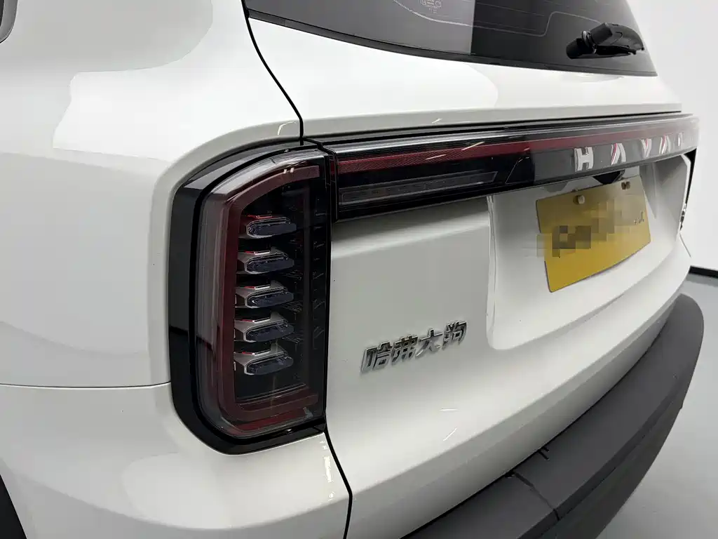 Haval Big Dog — миниатюра 11