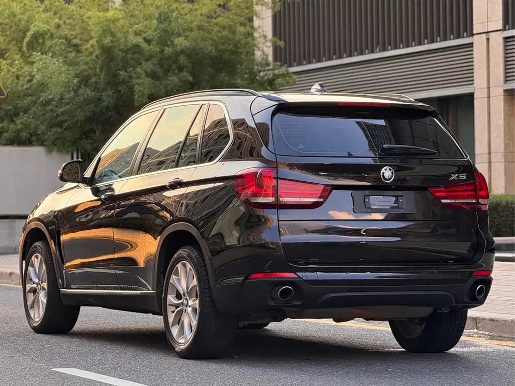 BMW X5 (Import) — миниатюра 4