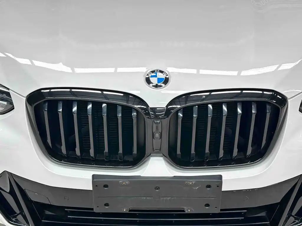 BMW X3 — миниатюра 5