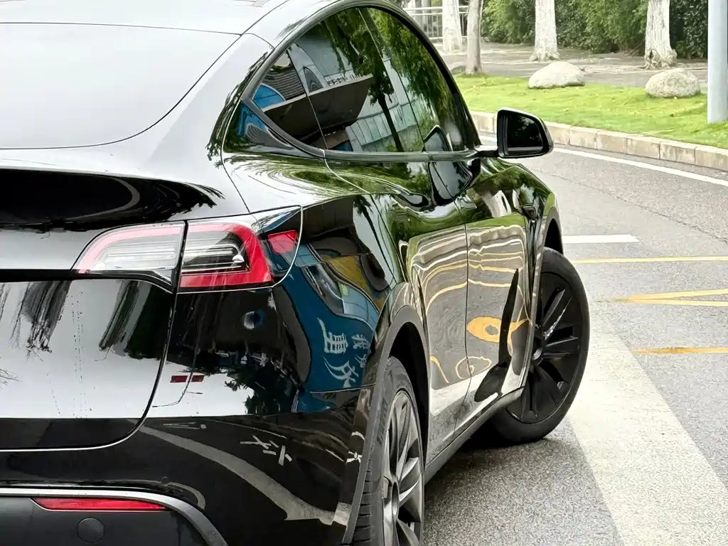 Tesla Model Y — миниатюра 6