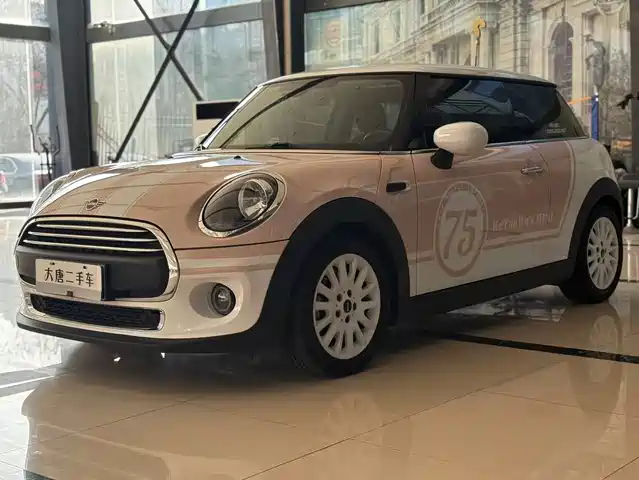 mini 