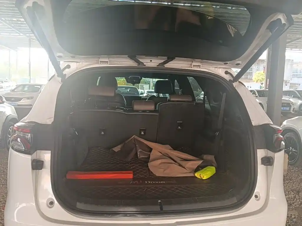 BYD Tang — миниатюра 19