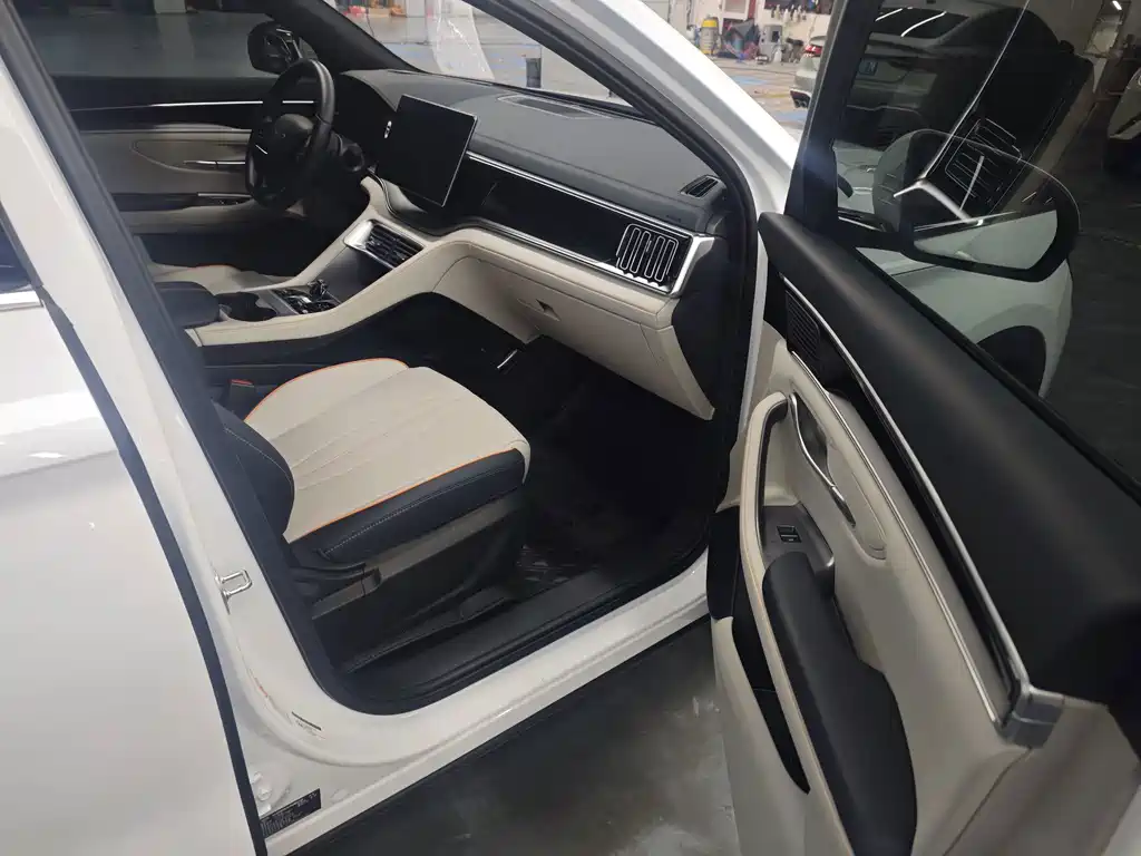 BYD PLUS New Energy — миниатюра 7